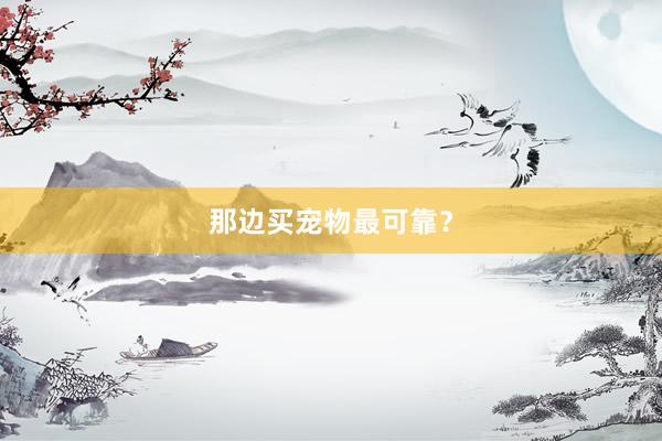 那边买宠物最可靠？