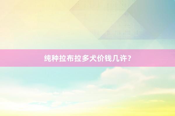 纯种拉布拉多犬价钱几许？